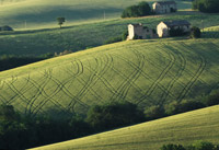 Paesaggio agricolo appignanese
